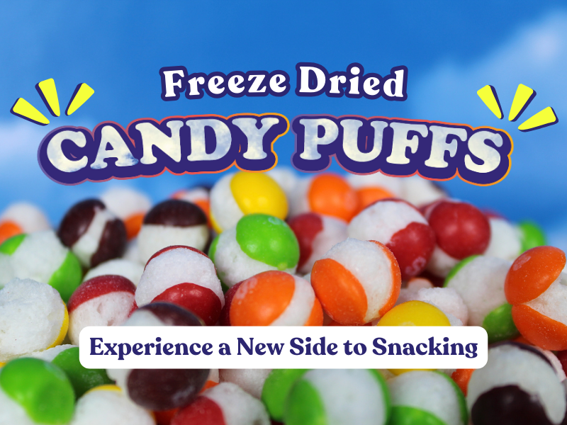 Explore a Business: Selling Freeze-Dried Candy